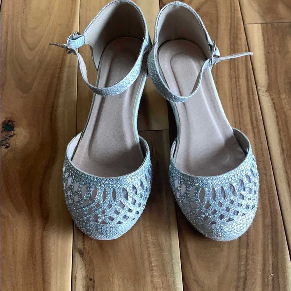 Elegant Silver Women's Shoes